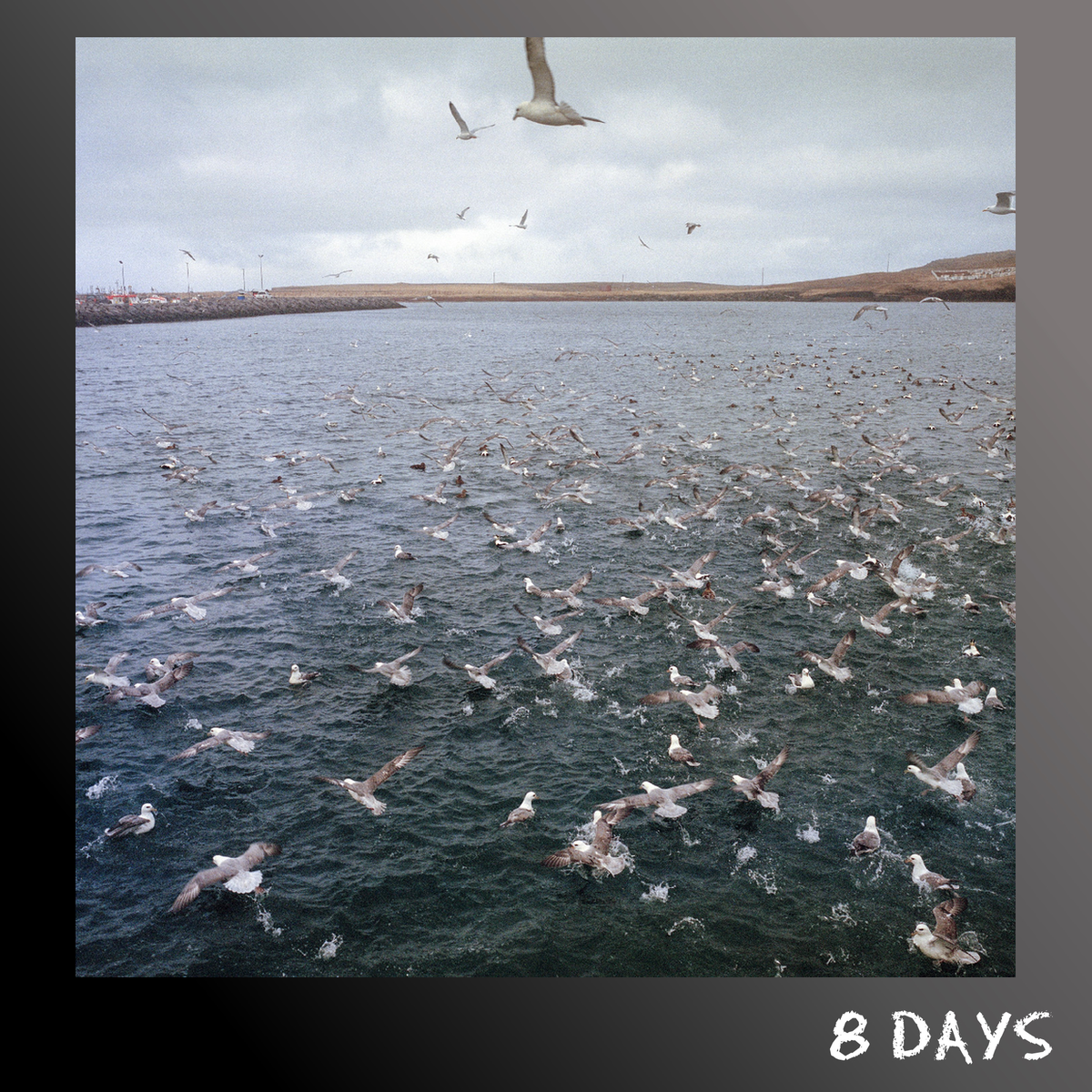 Docile Bodies - Rest - Black Vinyl LP | Pre-Order 23.10.26