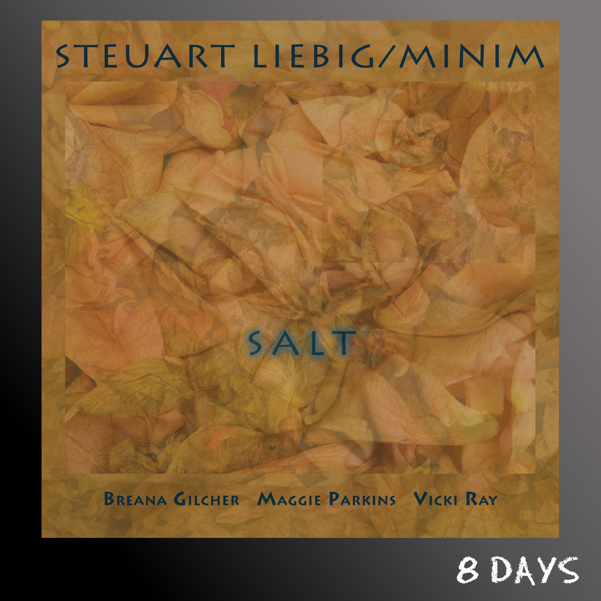Steuart Liebig/Minim - Salt - CD | Pre-Order 4.12.26
