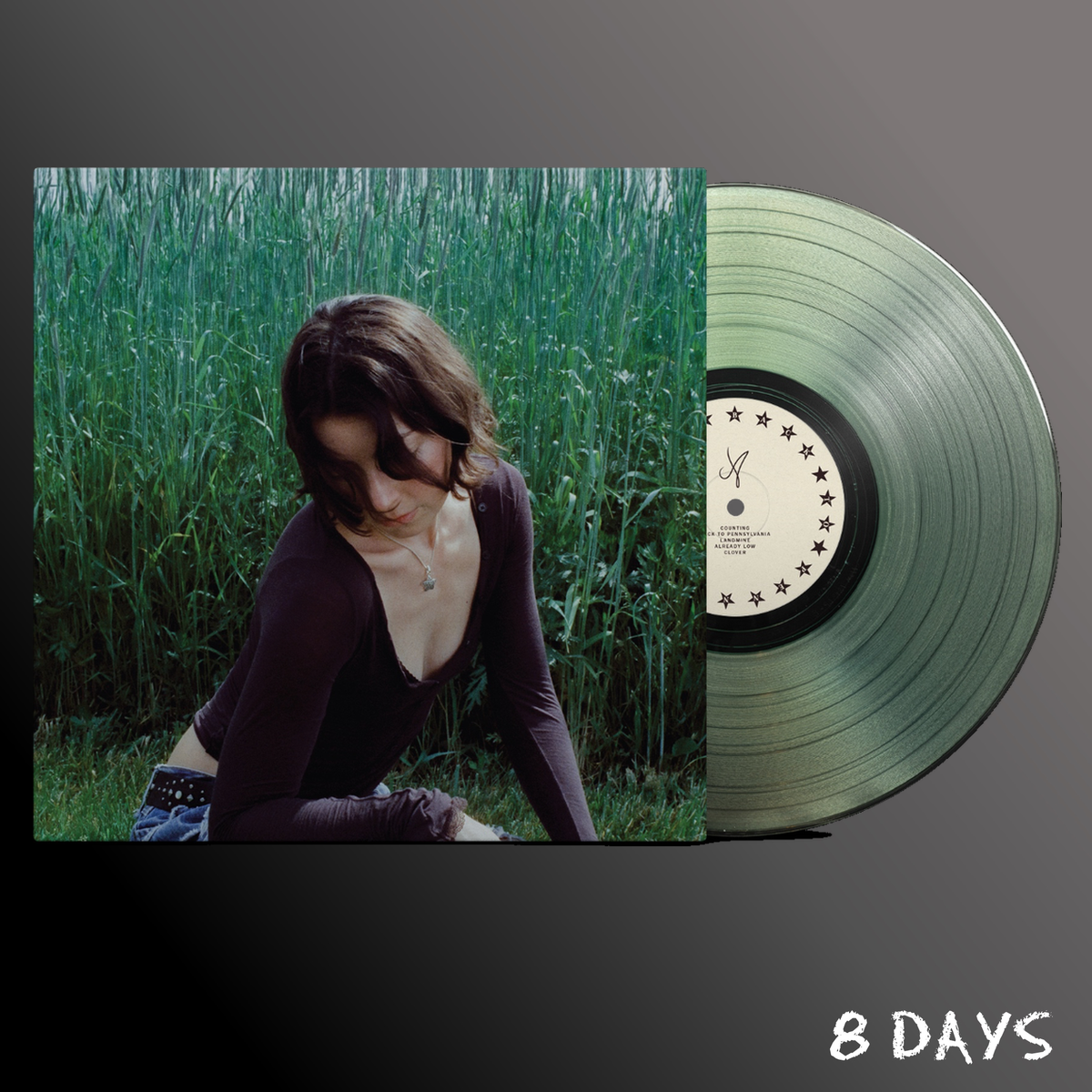Anna Shoemaker - Back To Pennsylvania - Coke Bottle Clear Vinyl LP | Pre-Order 16.10.26