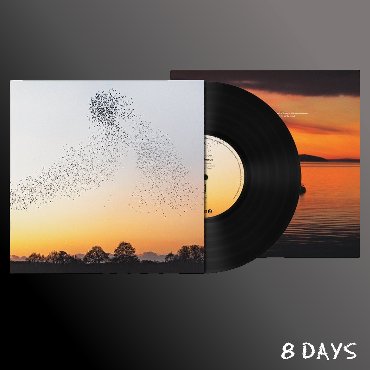 Erland Cooper - Dawn Chorus - Black Vinyl LP | Pre-Order 20.11.26