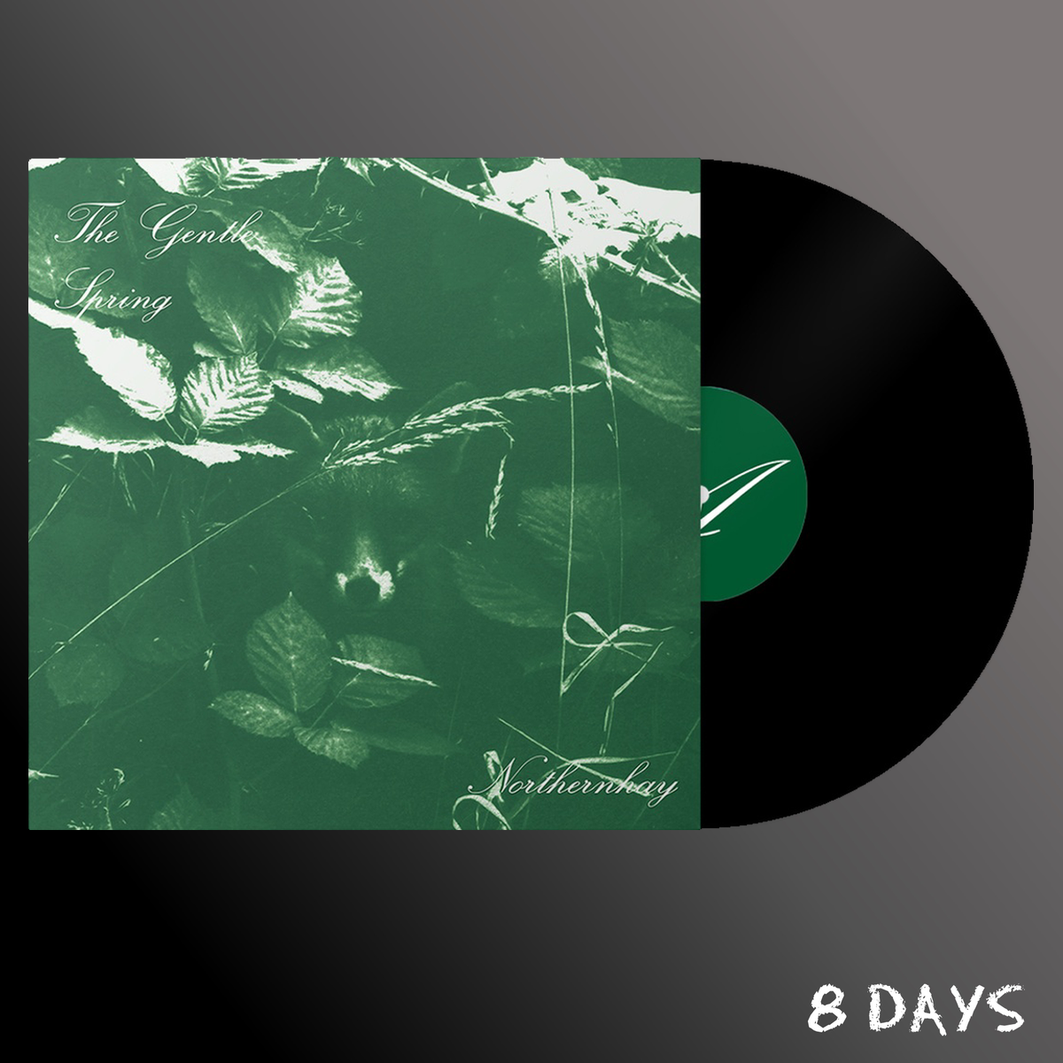 The Gentle Spring - Northernhay - Black Vinyl LP | Pre-Order 22.1.27