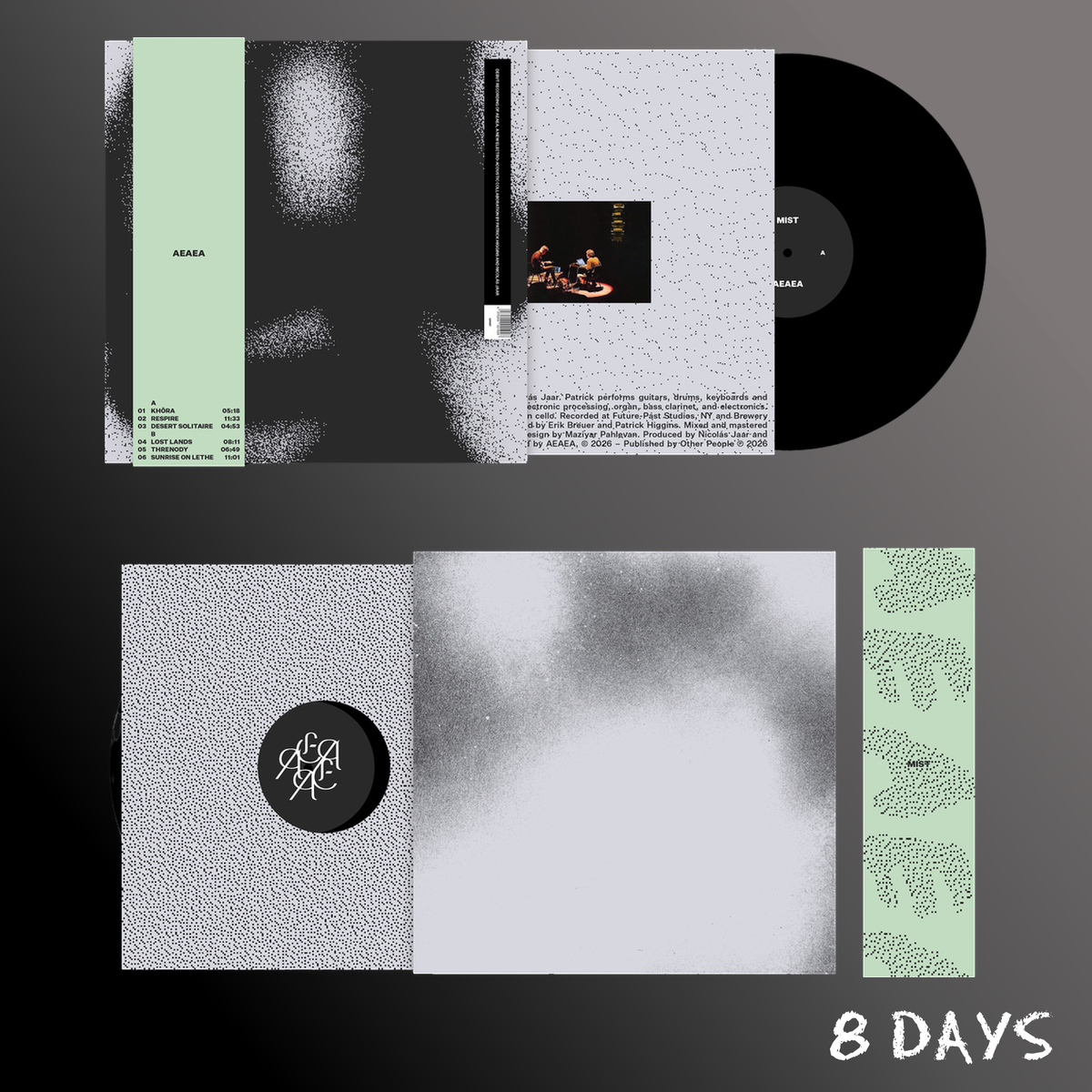 AEAEA - Mist - Black Vinyl LP | Pre-Order 20.11.26