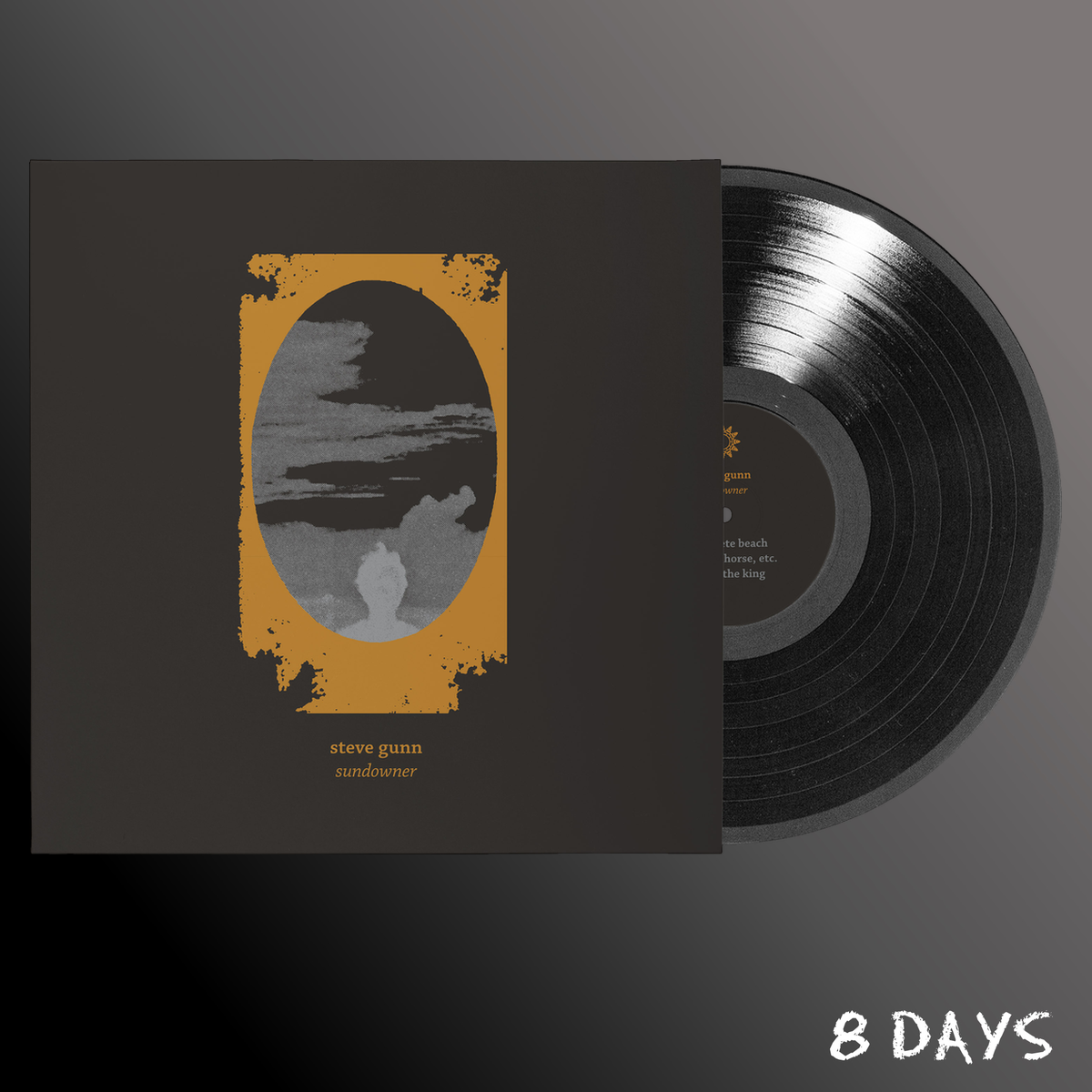 Steve Gunn - Sundowner - Black Vinyl LP | Pre-Order 30.10.26