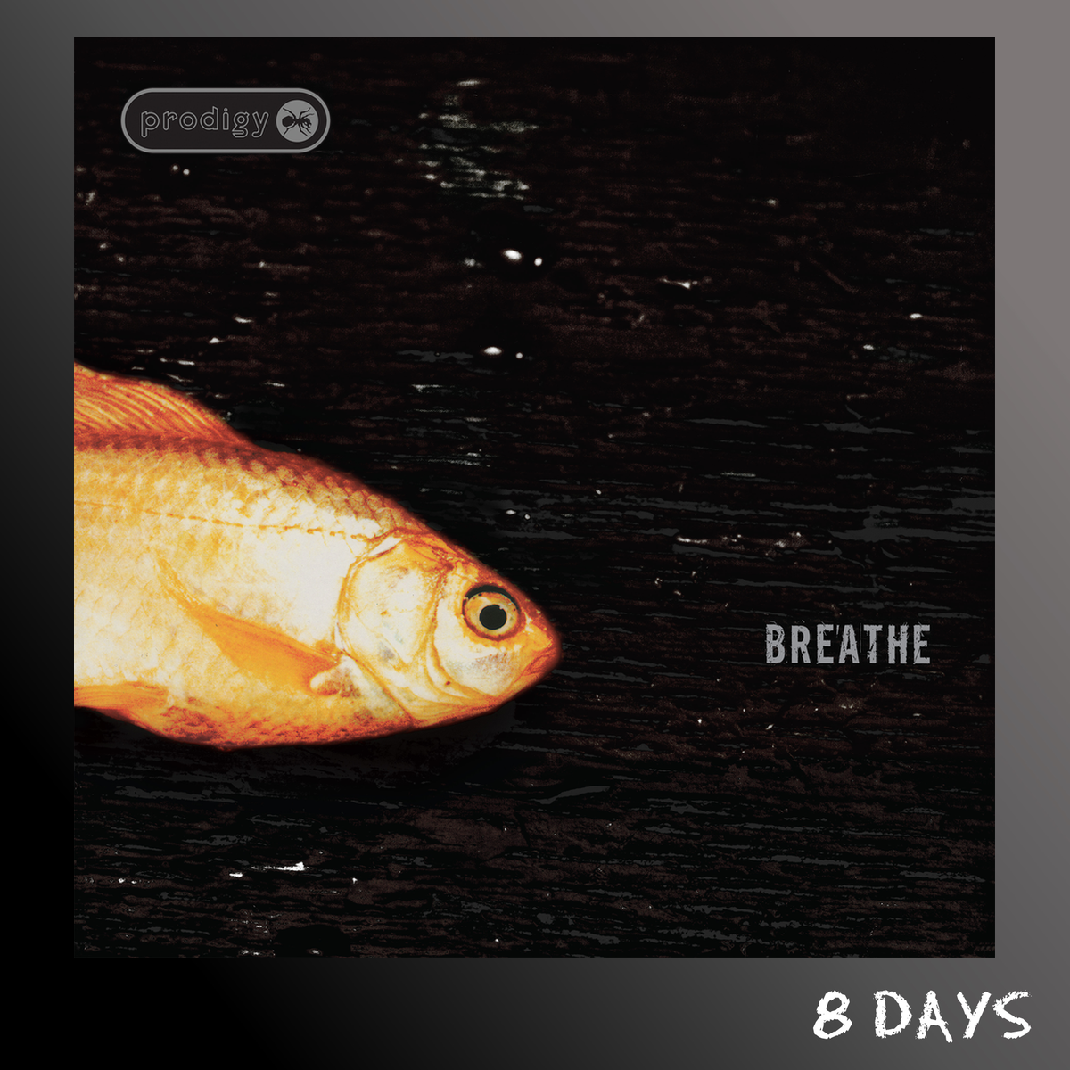 Prodigy - Breathe (30th Anniversary) - Black Vinyl 12" | Pre-Order 13.11.26