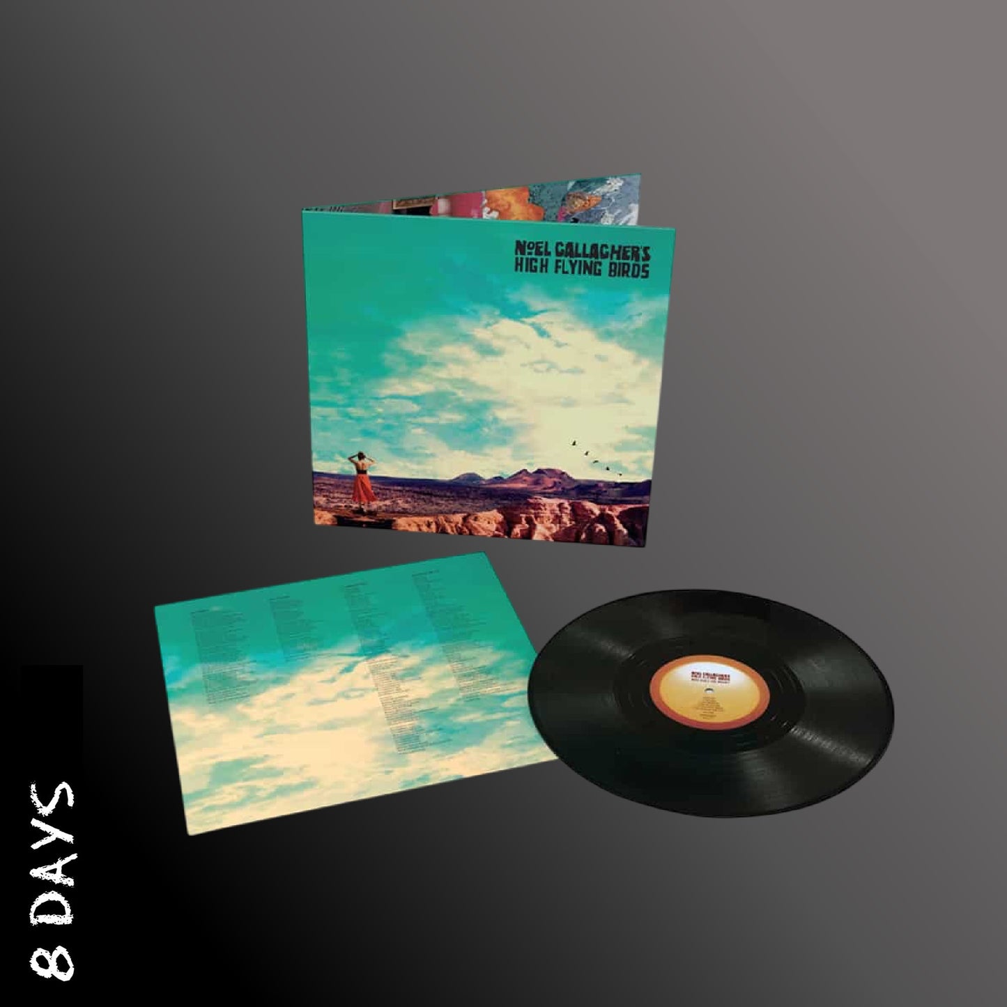 Noel Gallagher's High Flying Birds - Who Built the Moon? - Black Vinyl