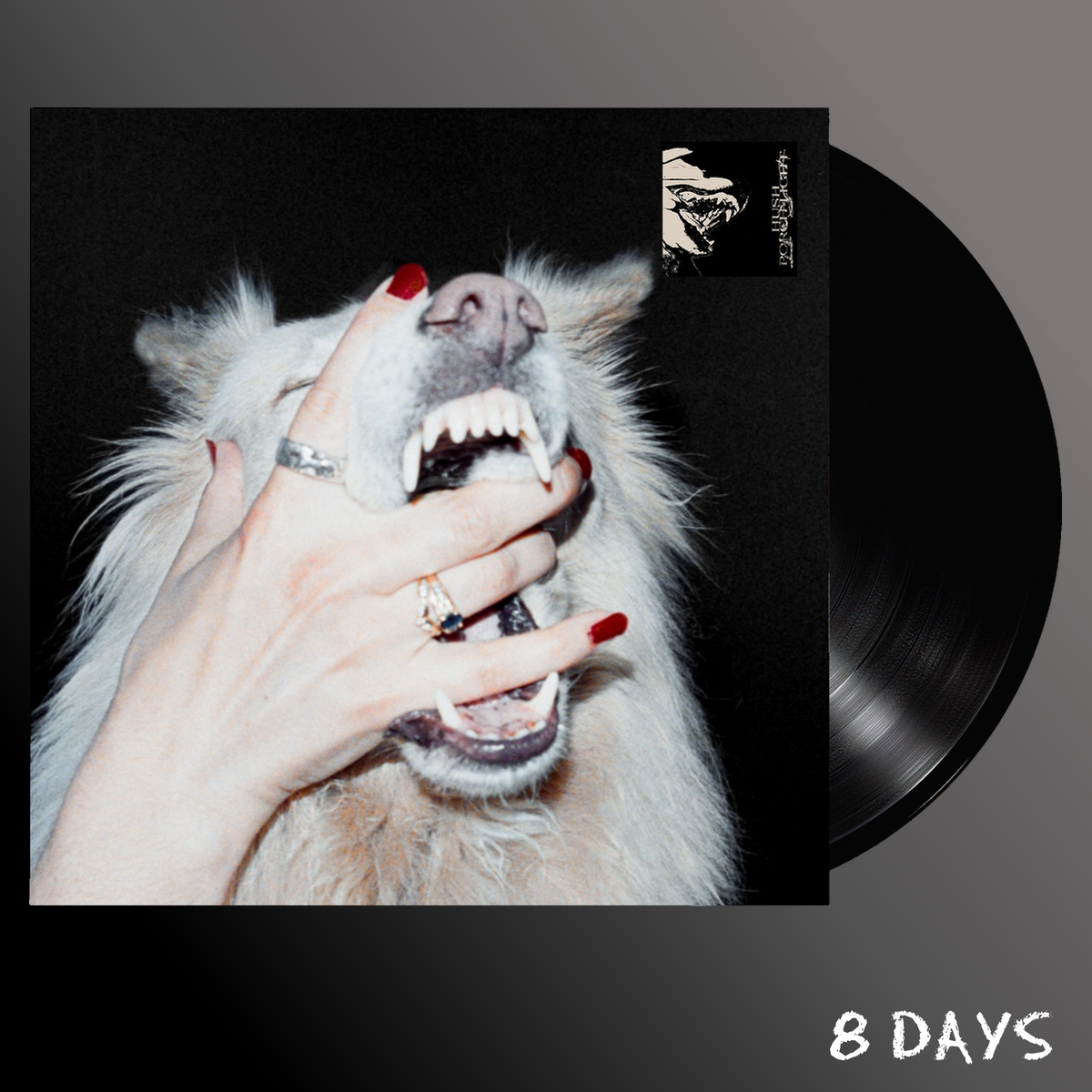 Porch Light - Hush - Black Vinyl LP | Pre-Order 18.9.26