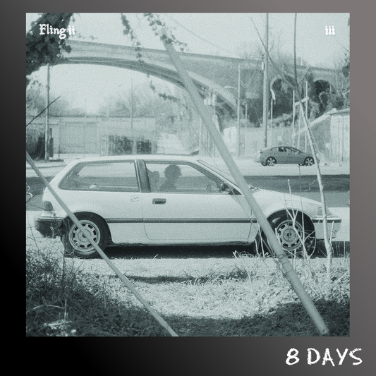 fling ii - 3 - LP | Pre-Order 21.8.26