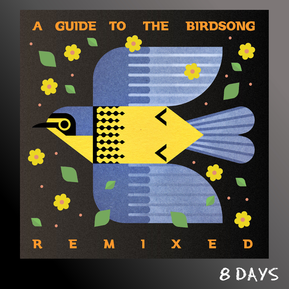 Various - A Guide To The Birdsong Remixed - Black Vinyl 2LP | Pre-Order 30.10.26