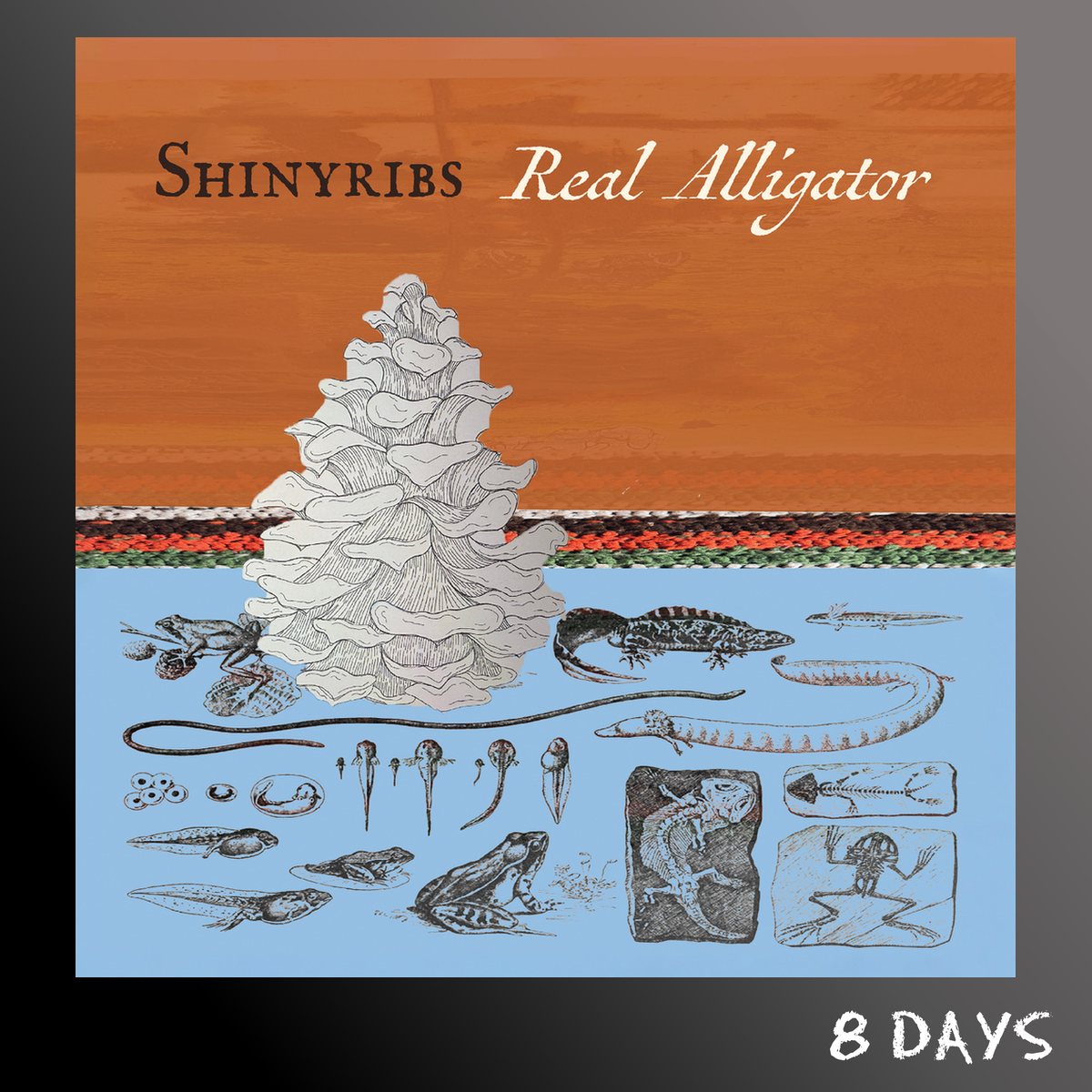 Shinyribs - Real Alligator - CD | Pre-Order 9.10.26