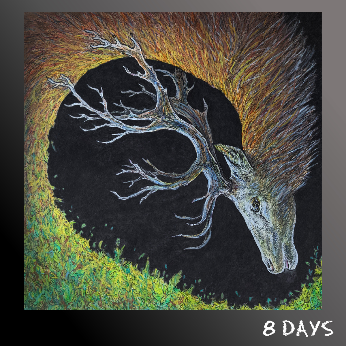 Petrels - Infangthief - CD | Pre-Order 16.10.26