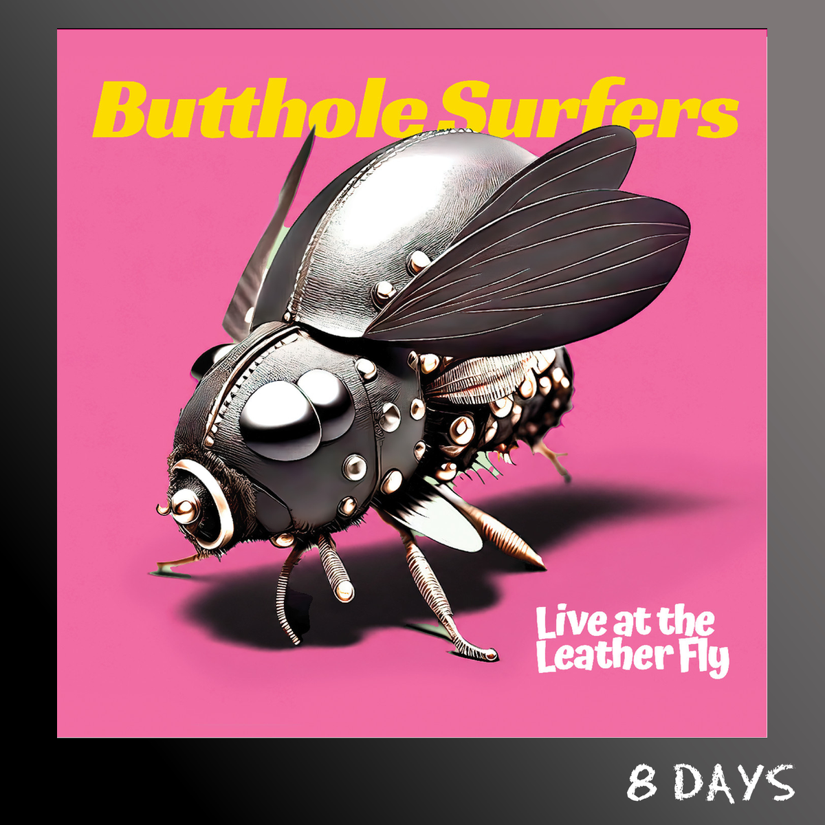 Butthole Surfers - Live at the Leather Fly - Moon Phase Yellow and Red Vinyl LP | Pre-Order 4.12.26