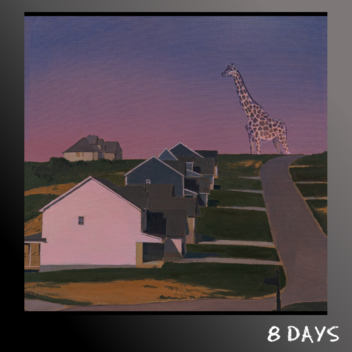Oso Oso - an exchange of information - CD | Pre-Order 6.11.26