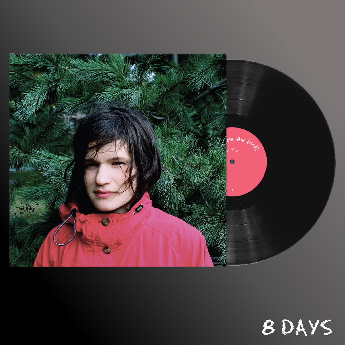 Adrianne Lenker - Hours Were the Birds - Black Vinyl LP | Pre-Order 11.12.26
