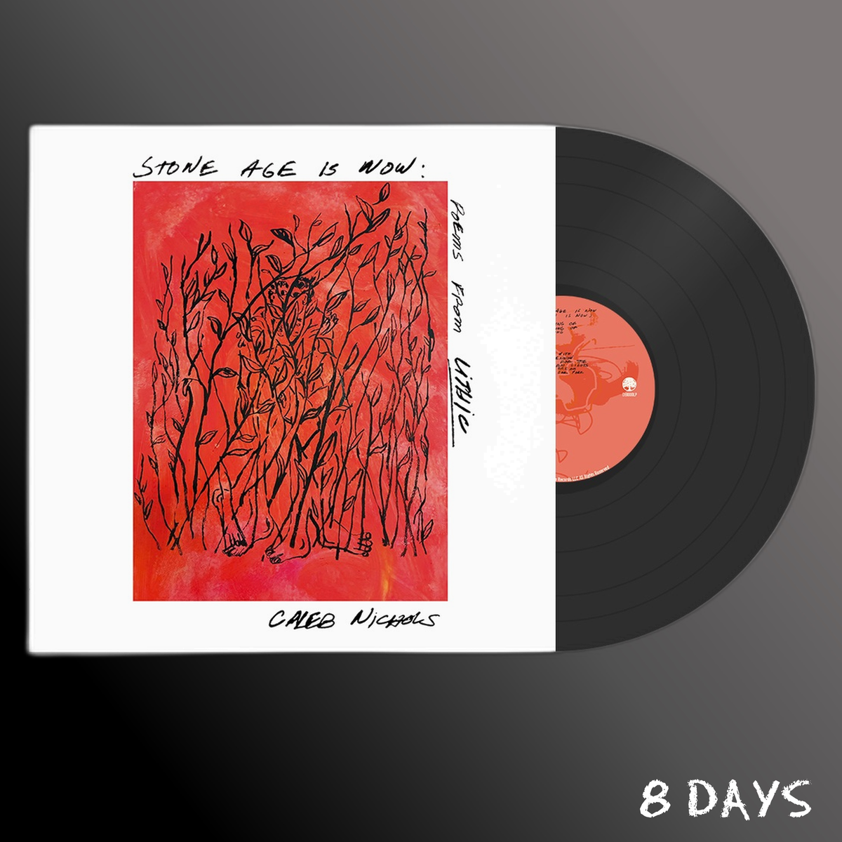 Caleb Nichols - Stone Age Is Now: Poems from Lithic - Black Vinyl LP | Pre-Order 2.10.26