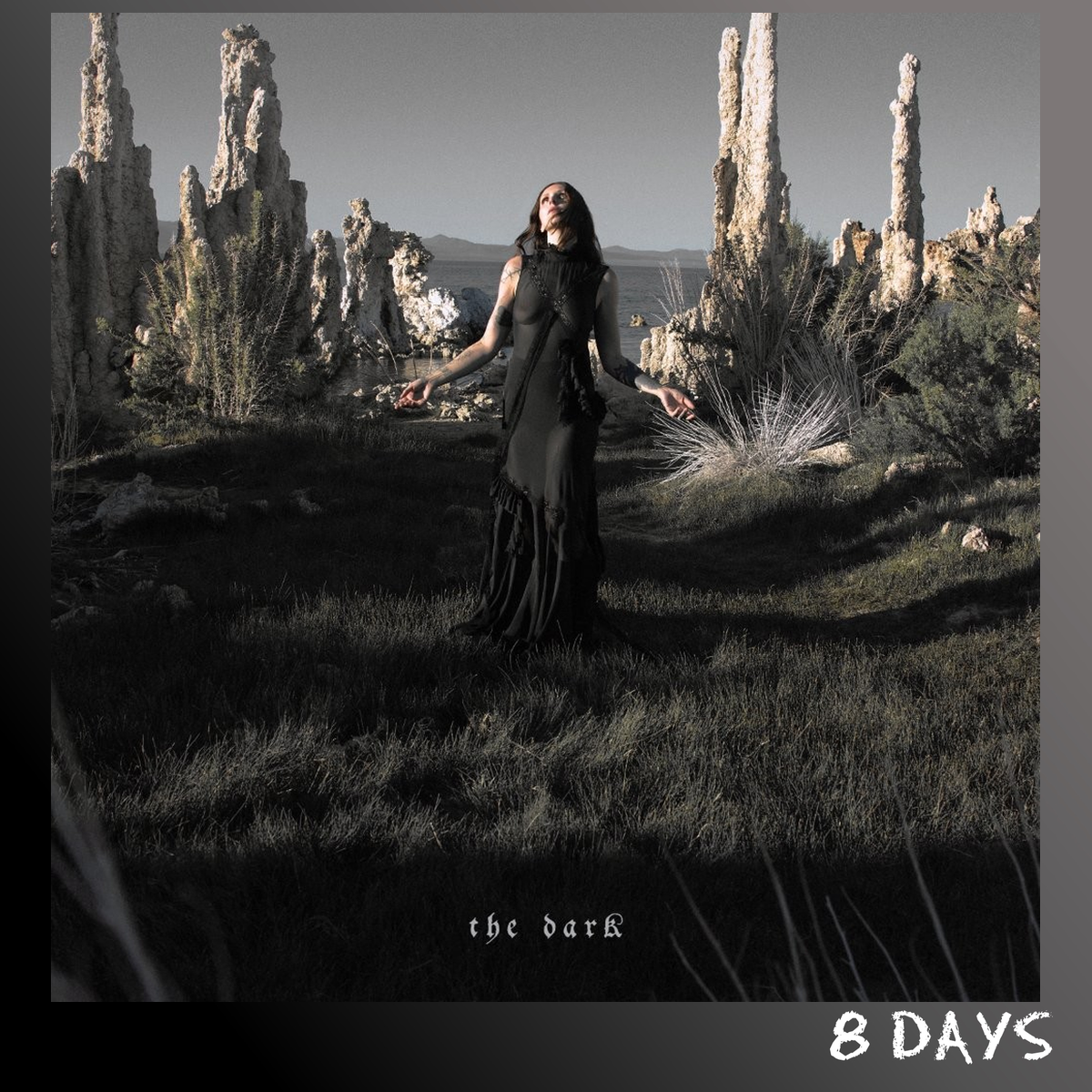 Chelsea Wolfe - The Dark - Forest Green Vinyl LP | Pre-Order 18.9.26