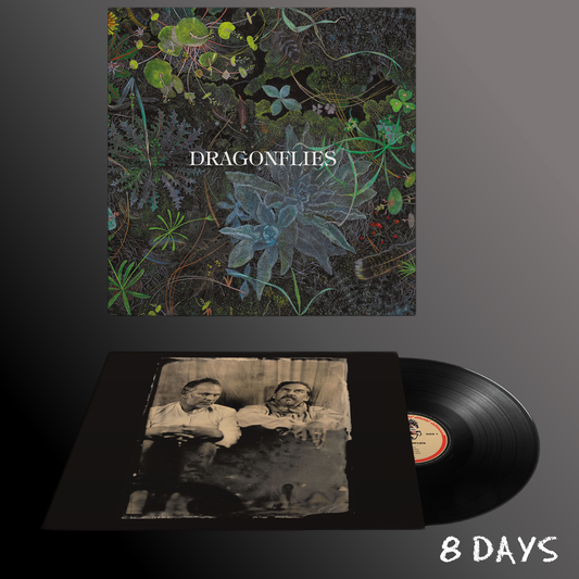 DRAGONFLIES - Dragonflies - Black Limited Edition Vinyl LP | Pre-Order 18.9.26