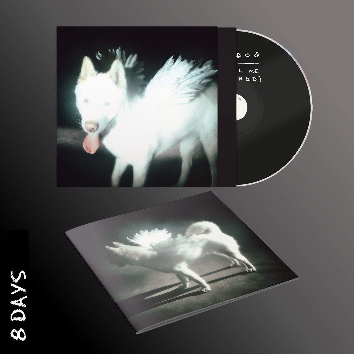Fat Dog - Cancel Me (I'm Tired) - CD - Pre Order 2/10/26