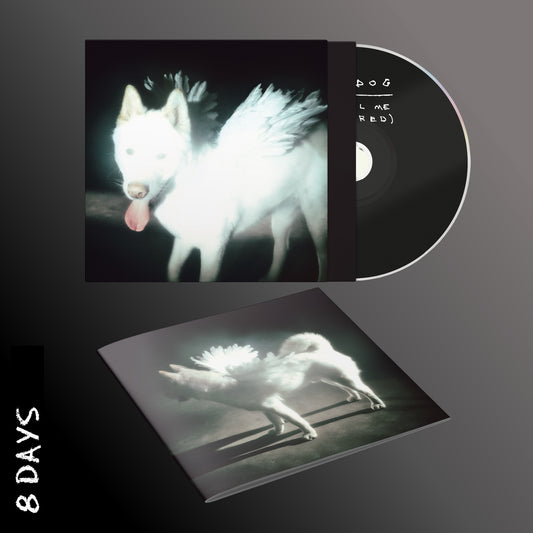Fat Dog - Cancel Me (I'm Tired) - CD - Pre Order 2/10/26