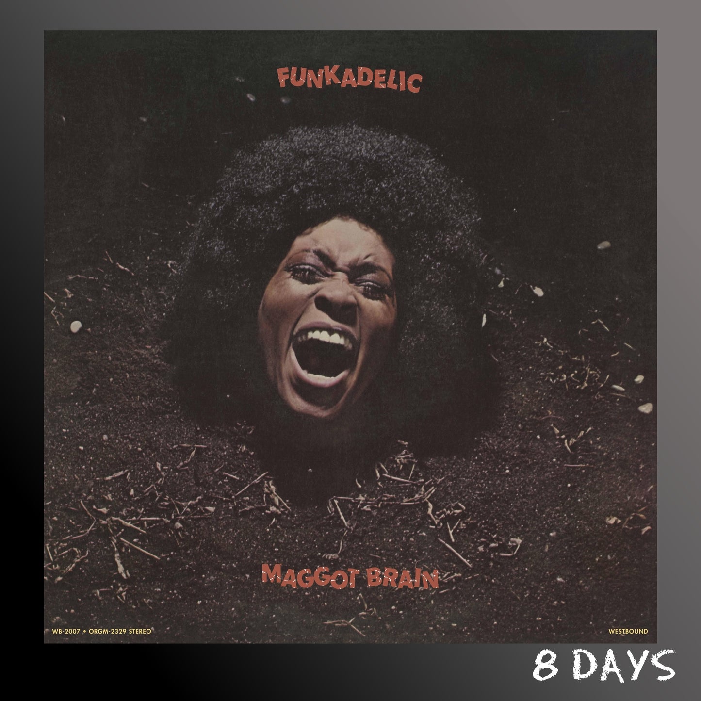 Funkadelic - Maggot Brain - Black Vinyl LP | Pre-Order 11.9.26