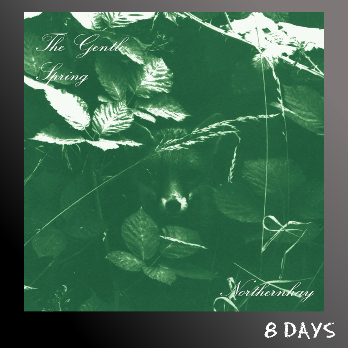 The Gentle Spring - Northernhay - CD | Pre-Order 22.1.27