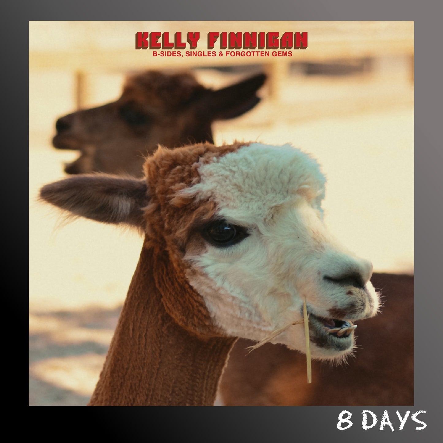 Kelly Finnigan - B-Sides, Singles & Forgotten Gems - Cassette | Pre-Order 14.8.26