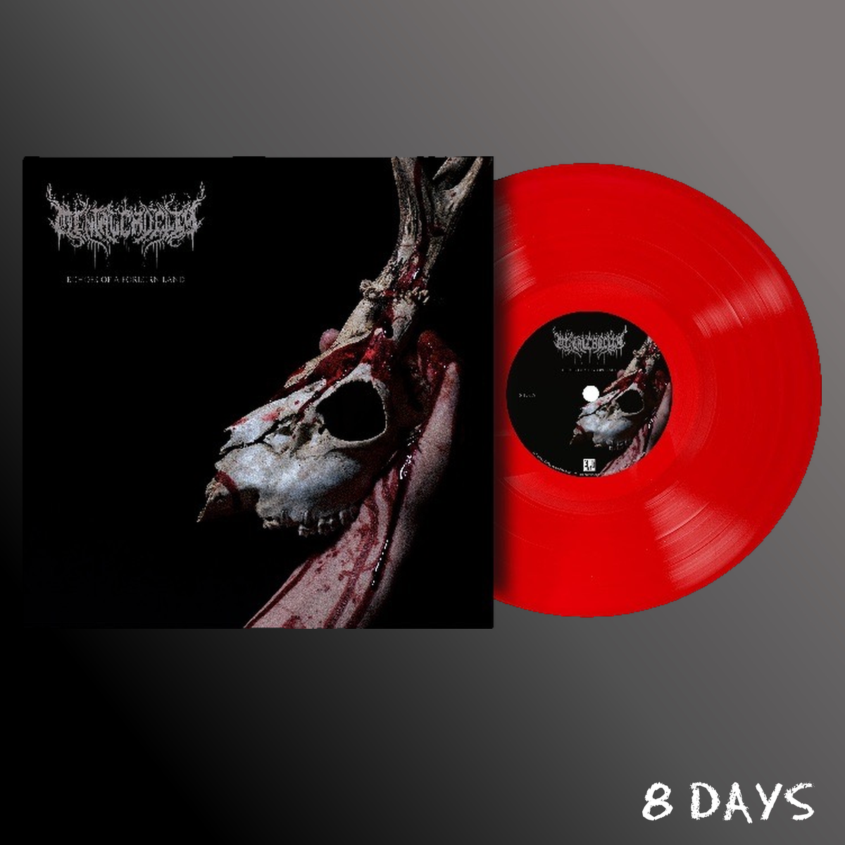 Mental Cruelty - Echoes of a Forlorn Land - Red Vinyl LP | Pre-Order 23.10.26