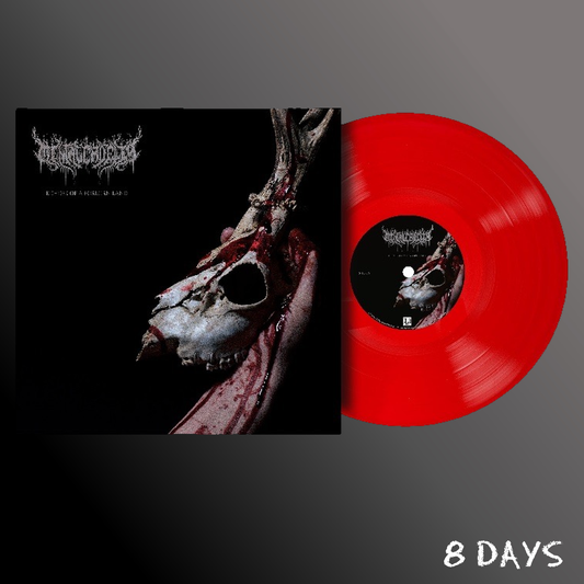 Mental Cruelty - Echoes of a Forlorn Land - Red Vinyl LP | Pre-Order 23.10.26