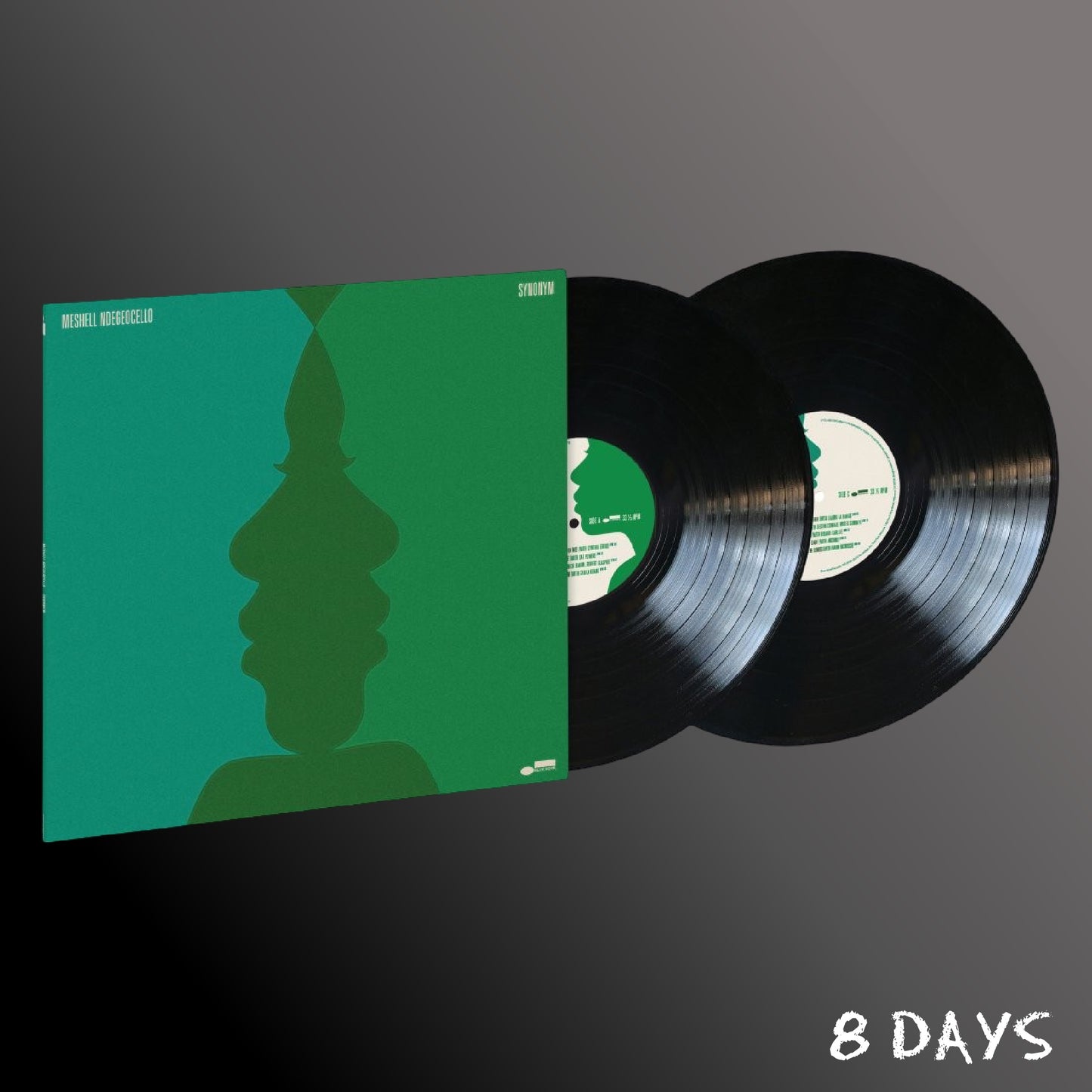 Meshell Ndegeocello - Synonym - Black Vinyl 2LP | Pre-Order 2.10.26