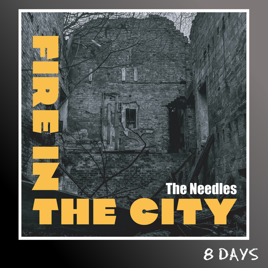 The Needles - Fire In The City - Black Vinyl LP | Pre-Order 4.9.26