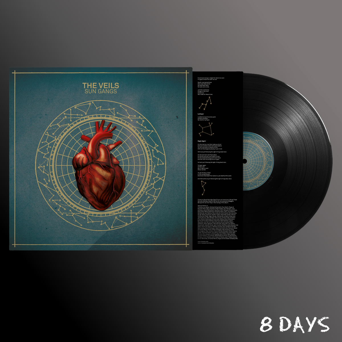 The Veils - Sun Gangs - Black Vinyl LP | Pre-Order 25.9.26