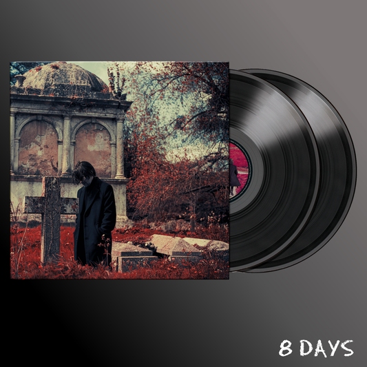 Steven Wilson - Requiem for a Village - Black Vinyl 2LP | Pre-Order 6.11.26