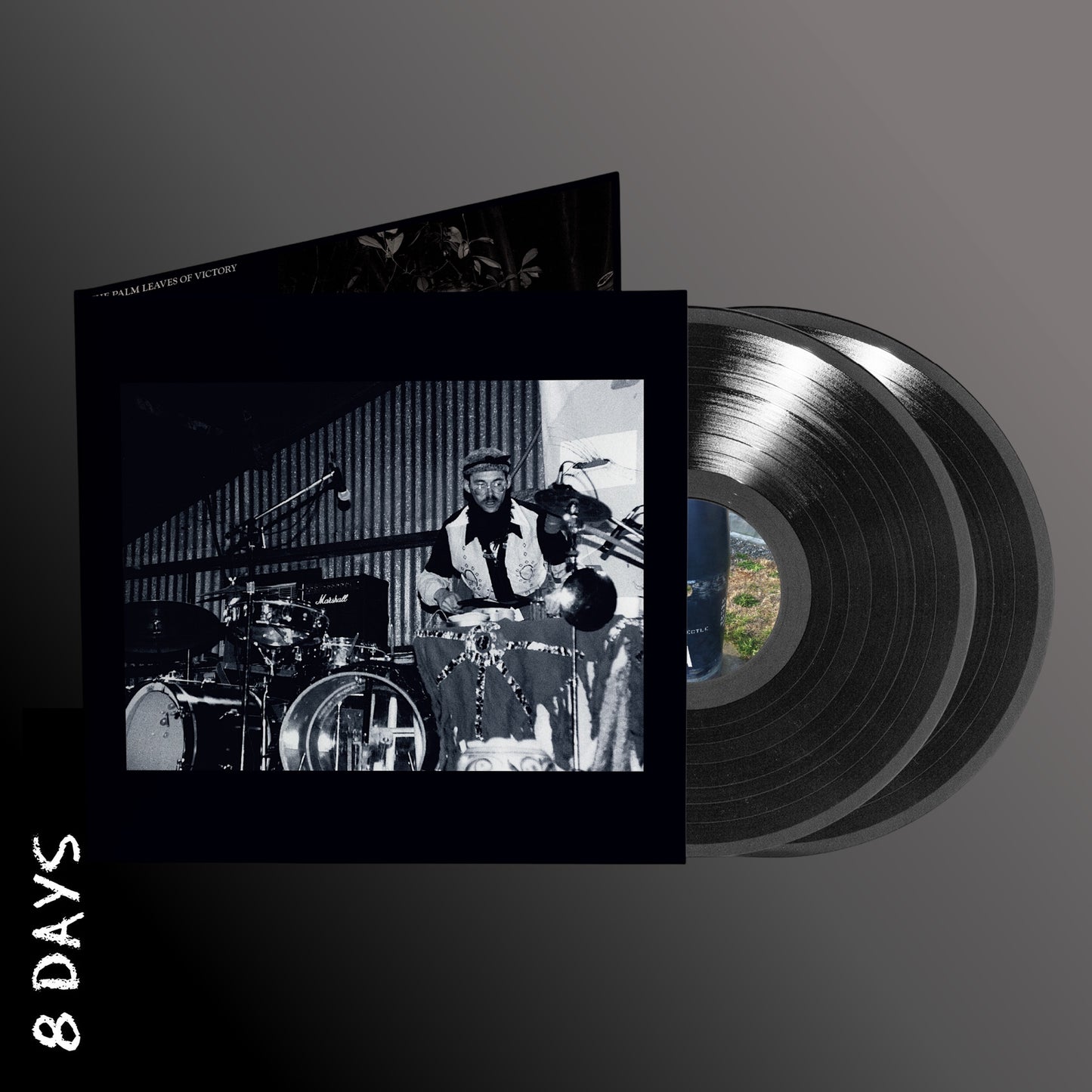 Sun City Girls - The Palm Leaves Of Victory - Deluxe 2LP Black Vinyl - Pre Order 31/7/26