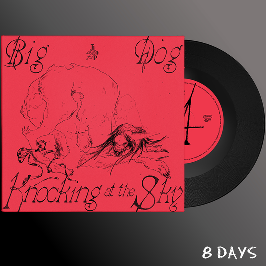 The Last Dinner Party - Big Dog / Knocking at the Sky - Black Vinyl 7" | Pre-Order 31.12.26