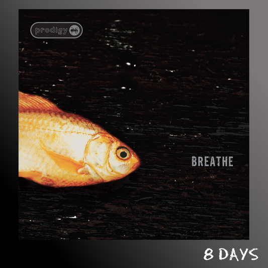 Prodigy - Breathe (30th Anniversary) - Black Vinyl 12" | Pre-Order 13.11.26