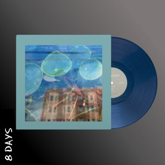 The Reds, Pinks and Purples - Acknowledge Kindness - Dark Cloud Vinyl - Pre Order 24/4/26