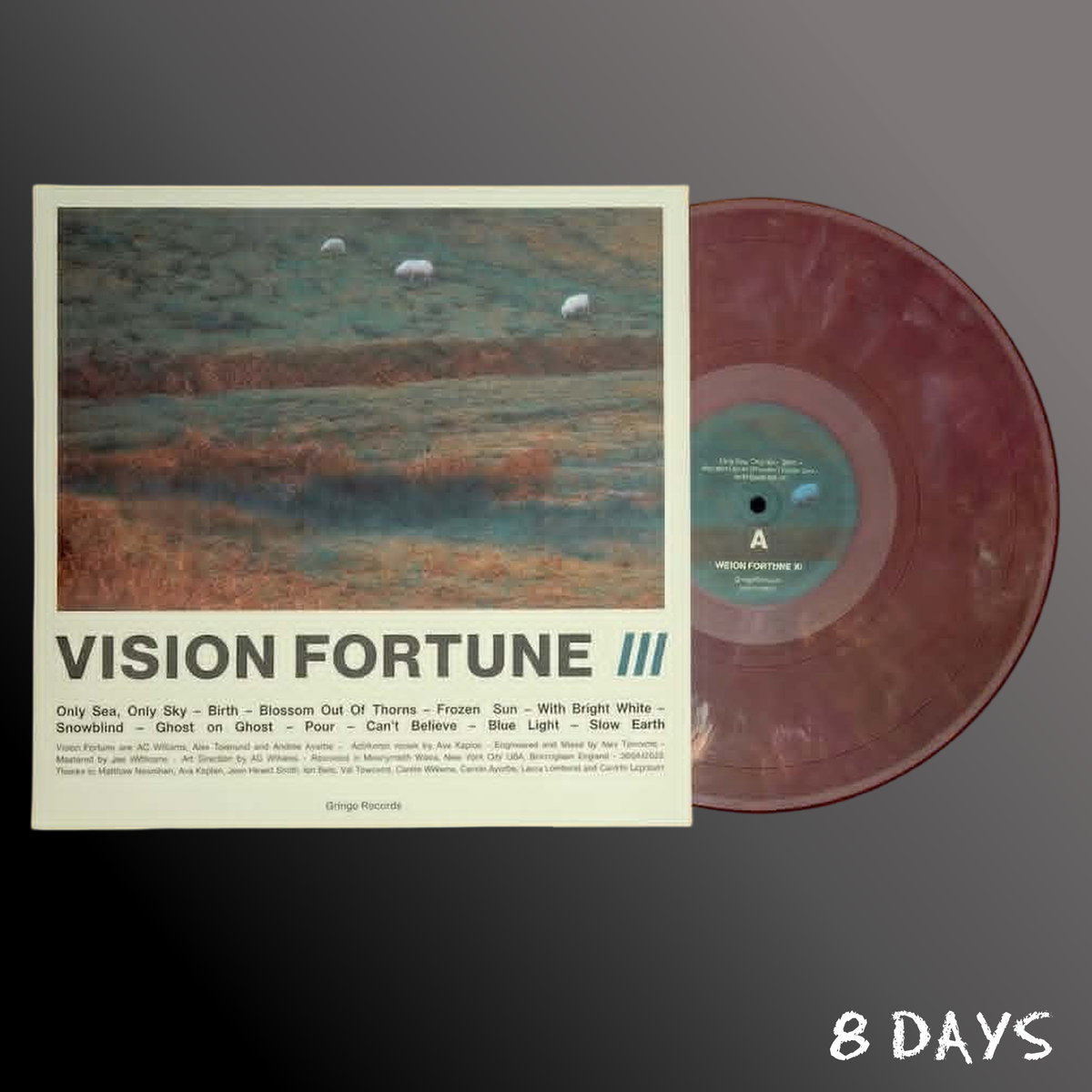 Vision Fortune - III - Eco Mix Vinyl LP | Pre-Order 2.10.26