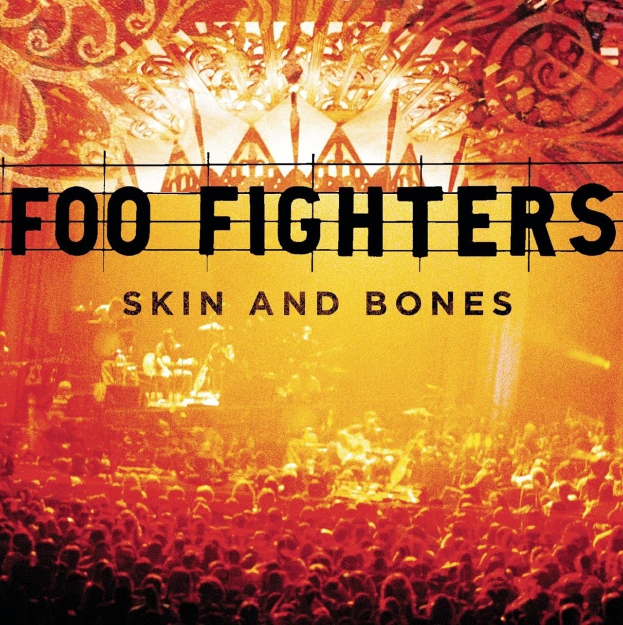 Foo Fighters - Skin and Bones - Vinyl