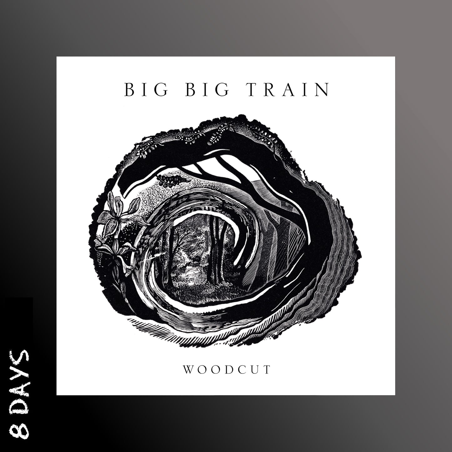 Big Big Train - Woodcut - CD - Pre Order 6/2/26