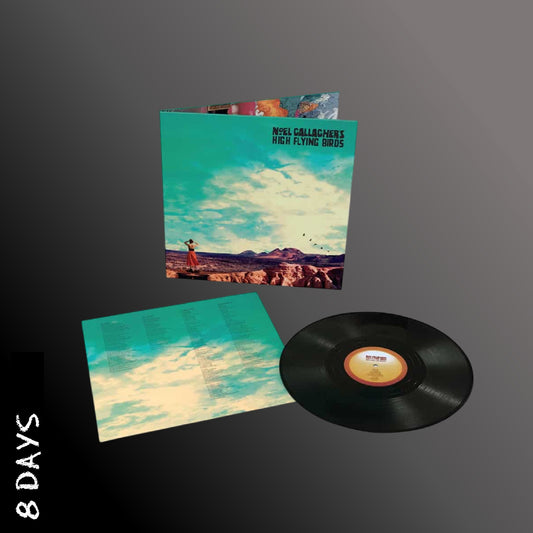 Noel Gallagher's High Flying Birds - Who Built the Moon? - Black Vinyl